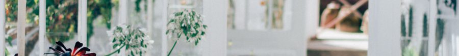 planten home decoration